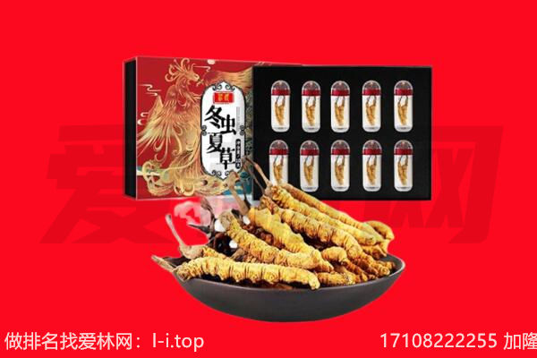 运城市万荣回收虫草.jpg